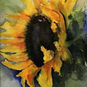 Sonnenblume