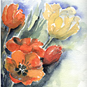 rote Tulpen