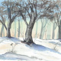 Winterwald